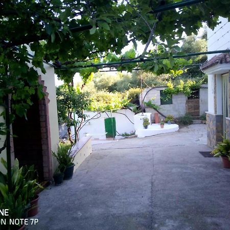 Casa El Pino Guest House Cortes de la Frontera Eksteriør bilde