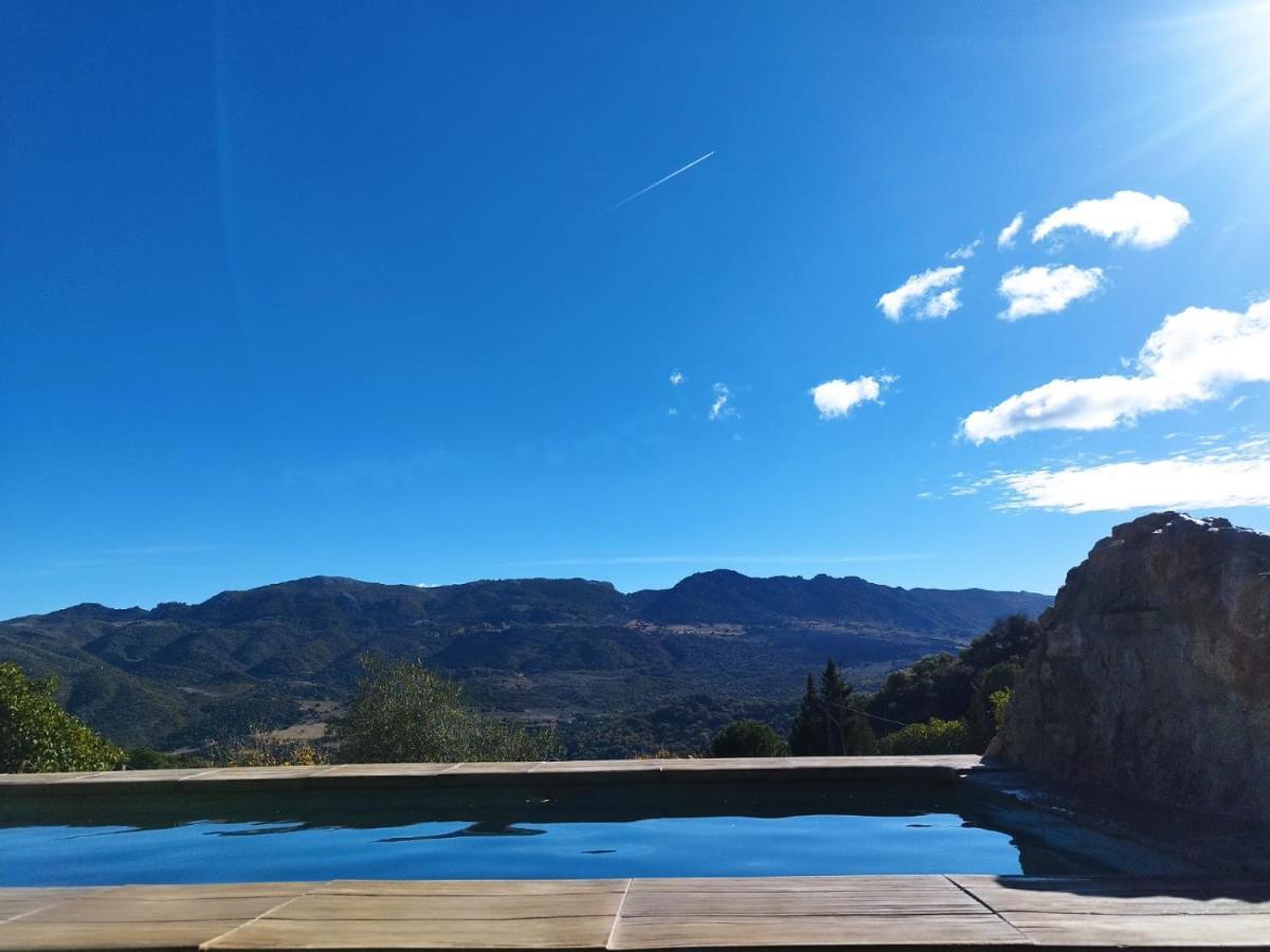 Casa El Pino Guest House Cortes de la Frontera Eksteriør bilde