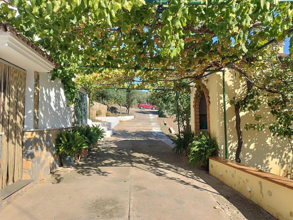 Casa El Pino Guest House Cortes de la Frontera Eksteriør bilde