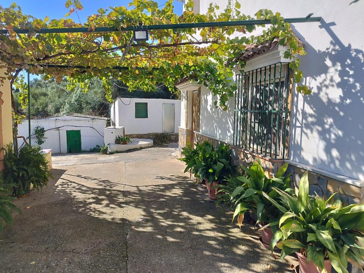Casa El Pino Guest House Cortes de la Frontera Eksteriør bilde