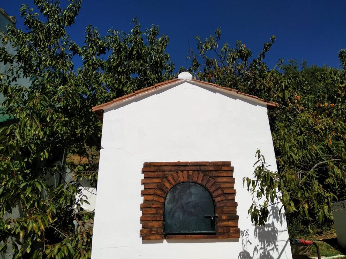 Casa El Pino Guest House Cortes de la Frontera Eksteriør bilde